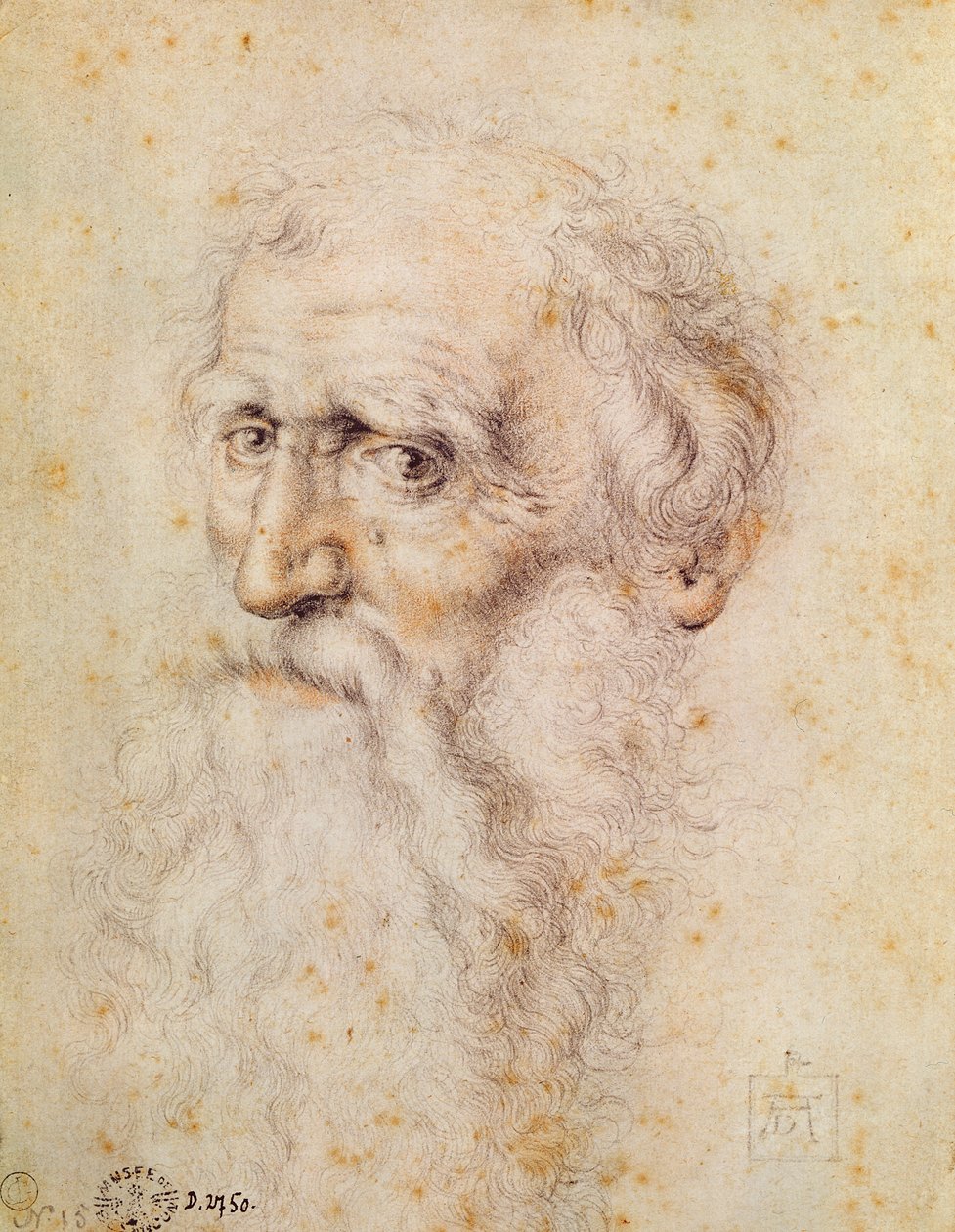 Sakallı yaşlı bir adamın portresi (kırmızı tebeşir ve pierre noire) by Albrecht Dürer