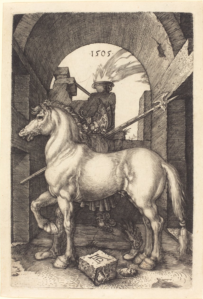 Küçük at by Albrecht Dürer