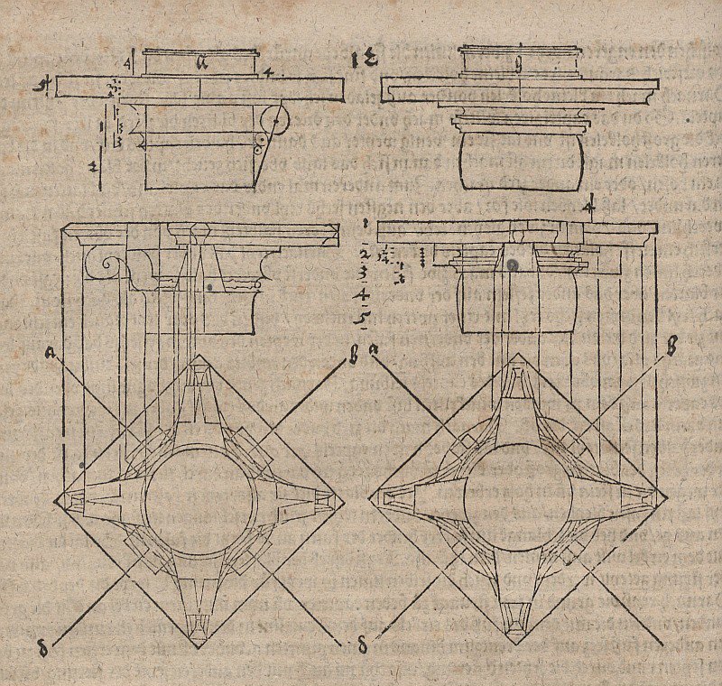 Bir sarma kolonunun sütun başlıkları by Albrecht Dürer