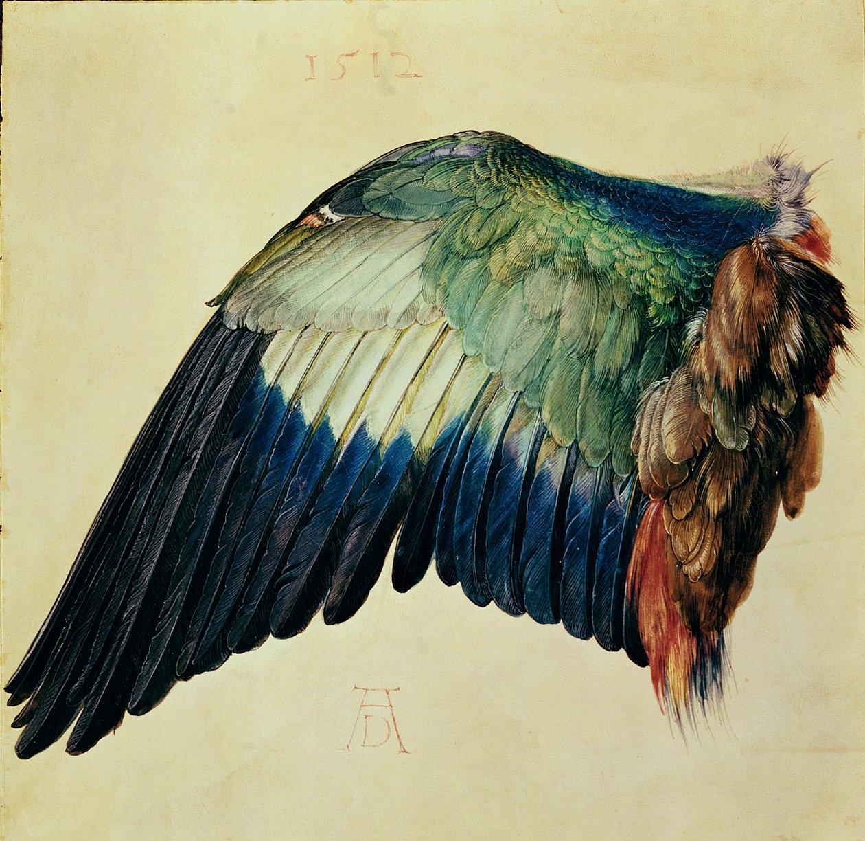 Blue Roller