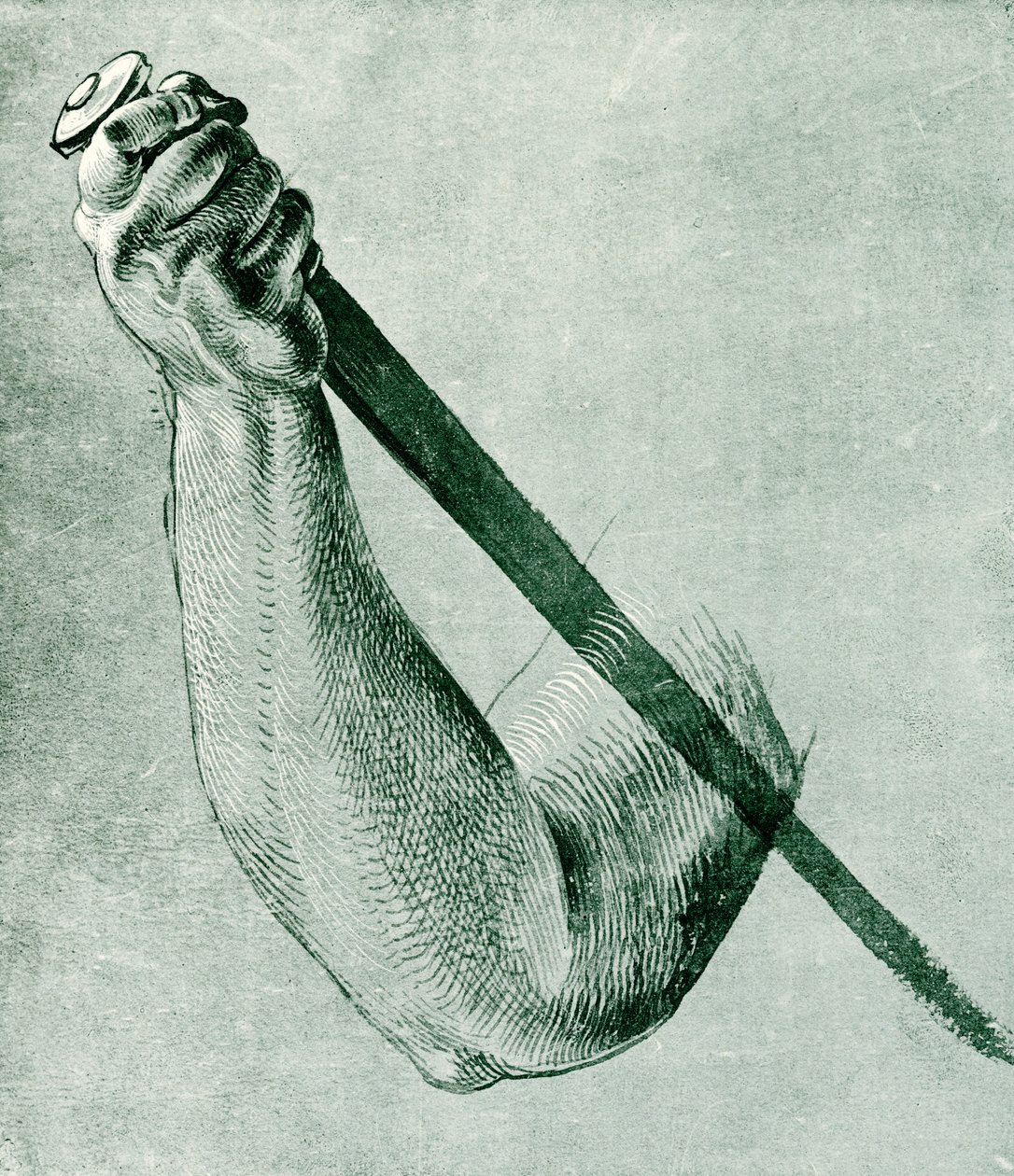 Foldaðar hendur postula by Albrecht Dürer