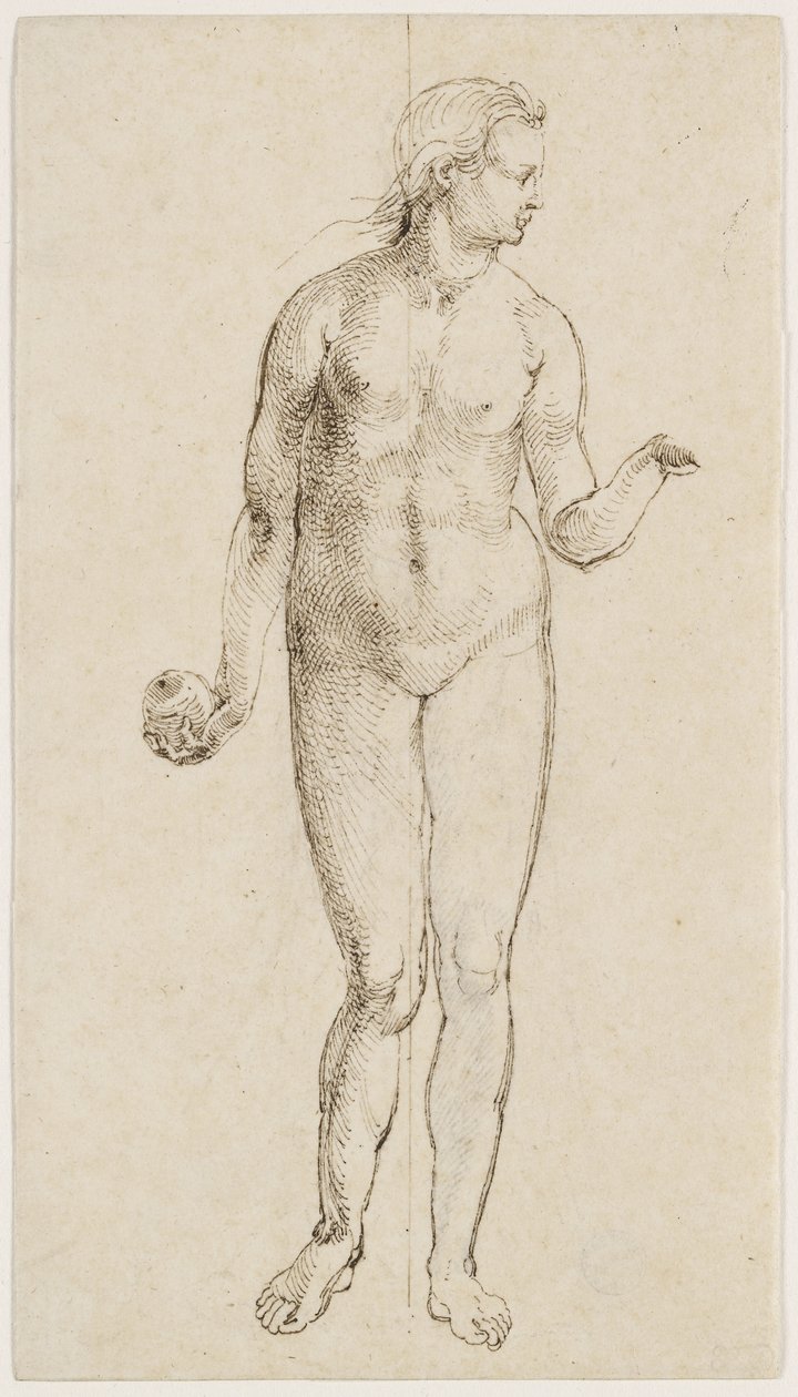 Havva (kağıt üzerine kalem ve Hint mürekkebi) by Albrecht Dürer