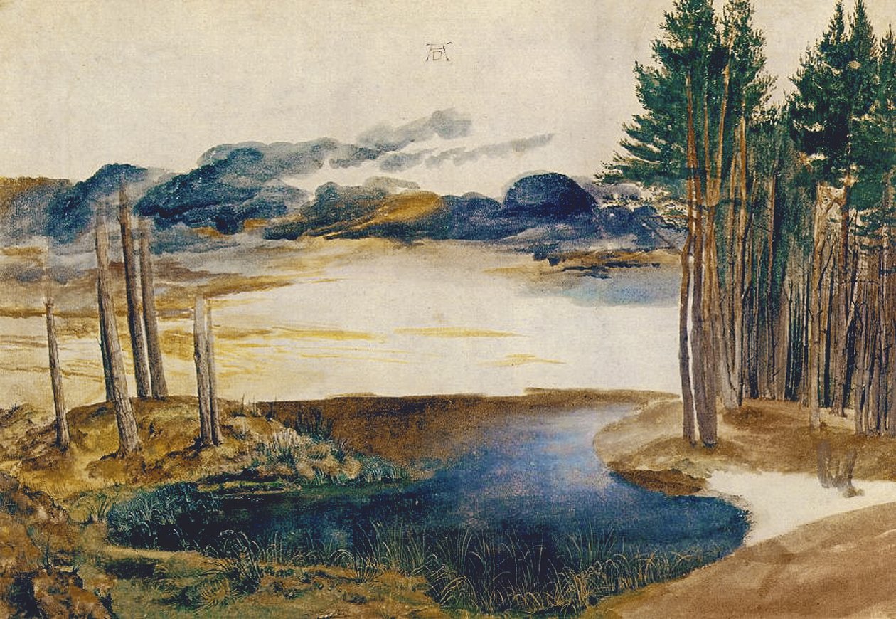 Pond in the Wood, c.1496 (kağıt üzerinde wc ve guaj) by Albrecht Dürer