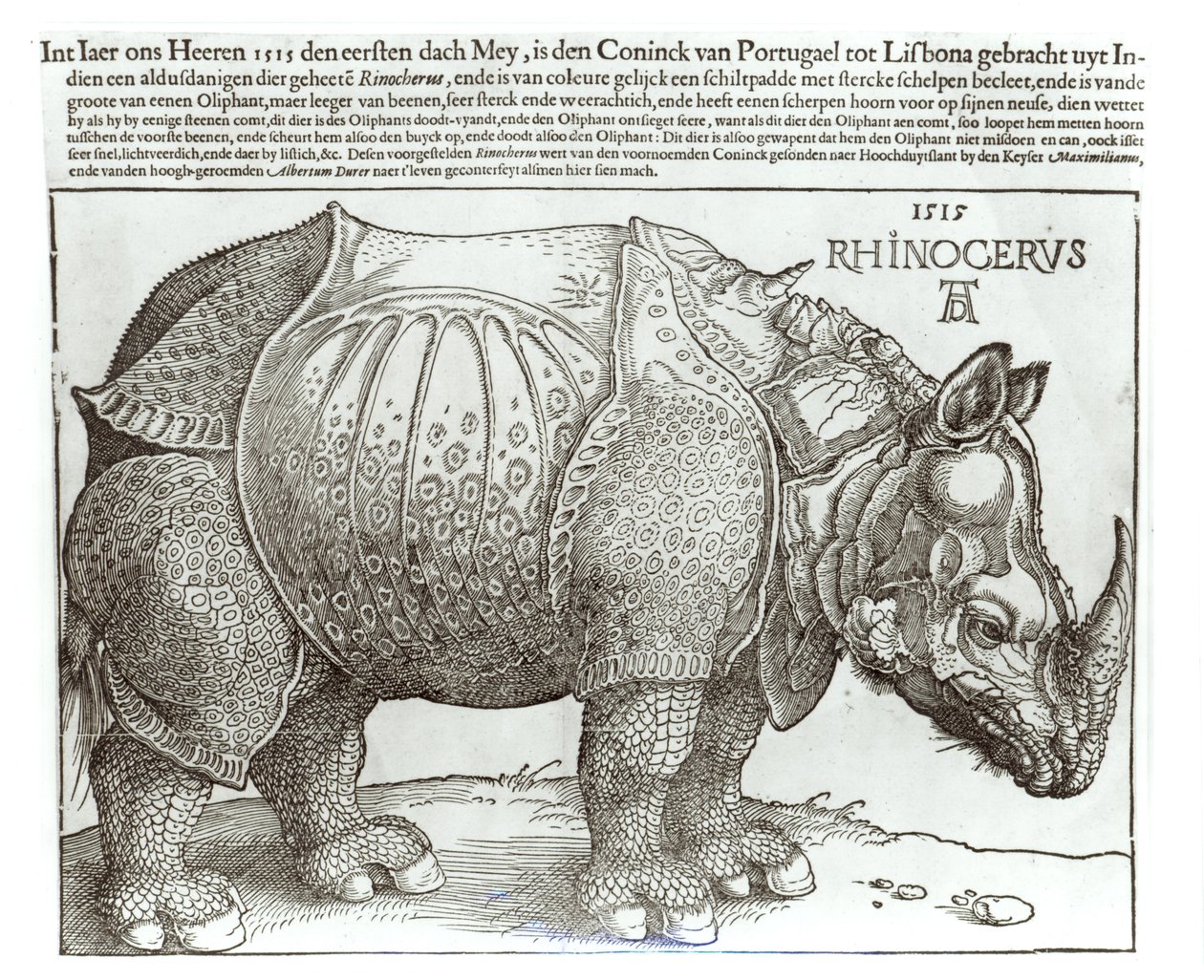 Gergedan, Lizbon Kralı (1495-1521) tarafından Maximilian I'e (1459-1519) verilen baskı, 1515 by Albrecht Dürer