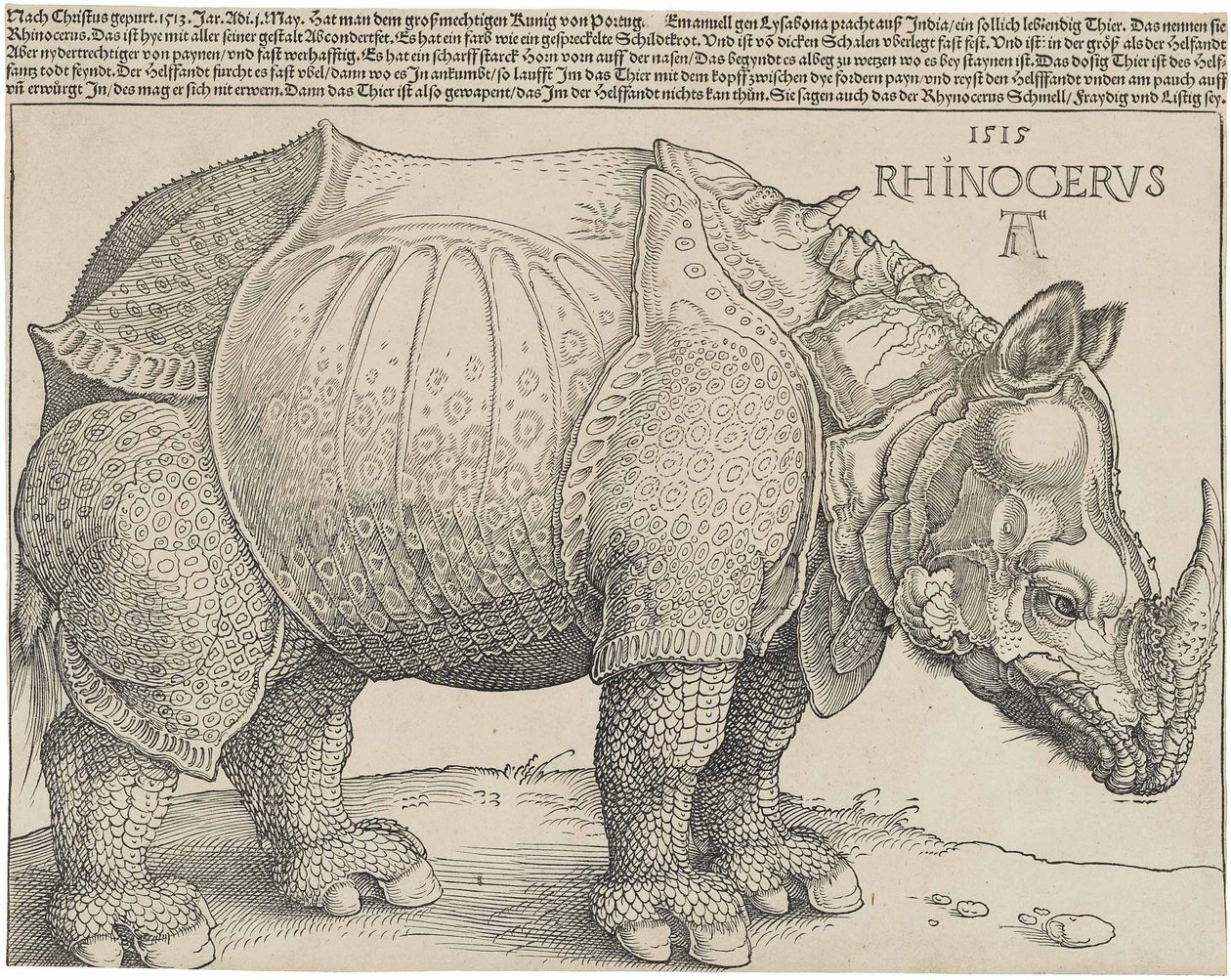 Gergedan, 1515 by Albrecht Dürer