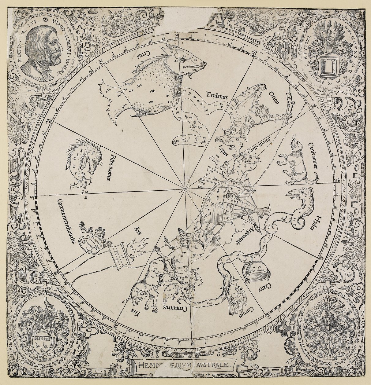 ದಕ್ಷಿಣ ಗೋಳಾರ್ಧದ ಟರ್ಕಿಯ ಆಕಾಶ ಚಾರ್ಟ್ by Albrecht Dürer