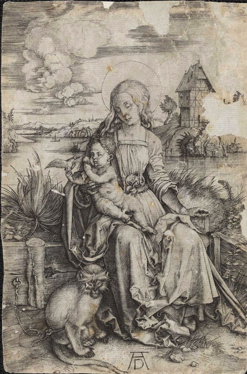 Bir maymun ile bakire ve çocuk by Albrecht Dürer