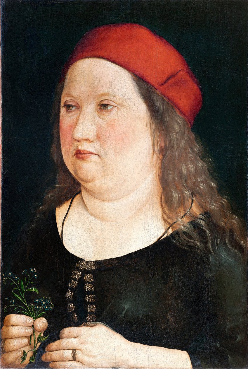 bilinmeyen bakıcı by Albrecht (attr. to) Durer or Duerer