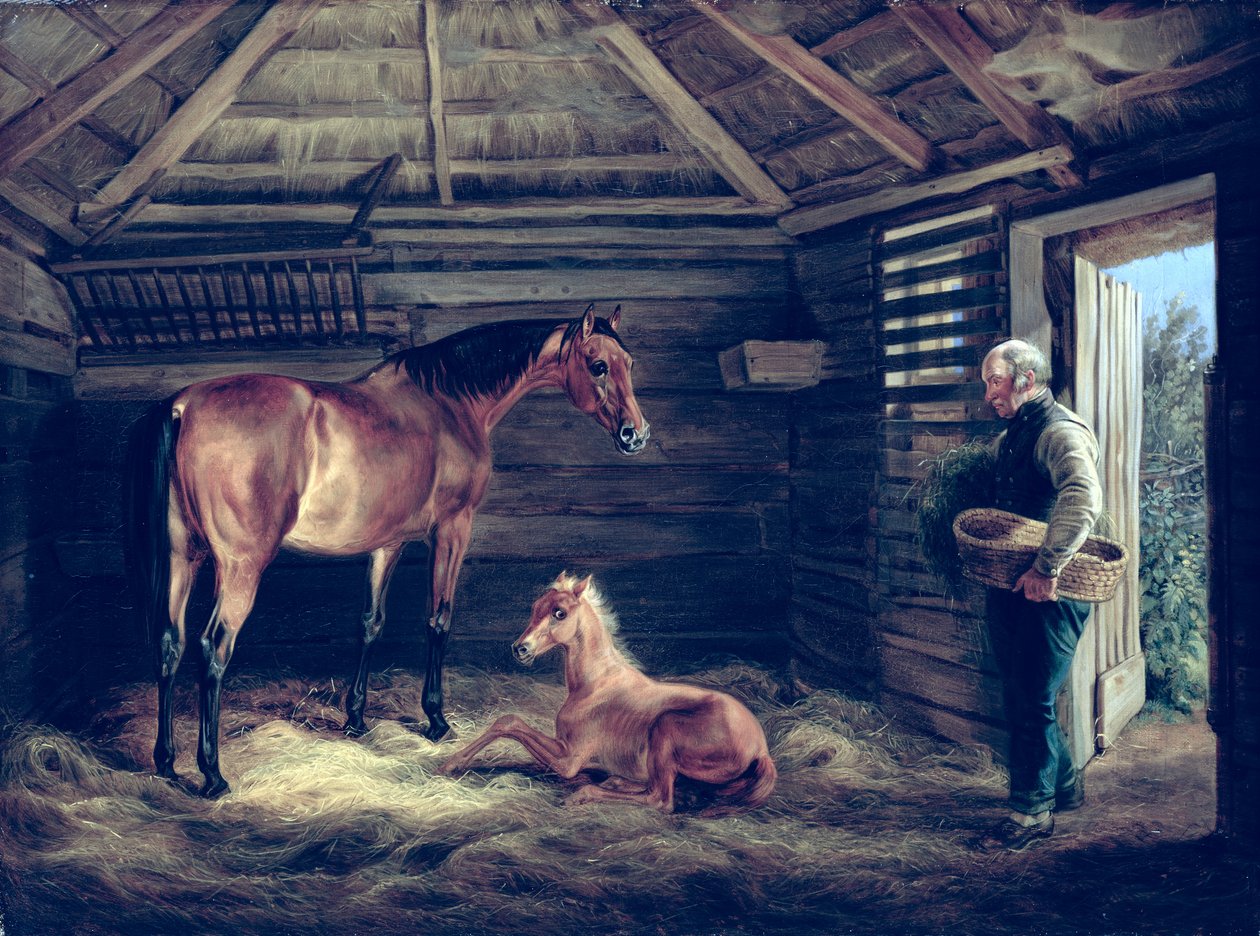 Taylarıyla İngiliz Kısrağı, 1833 by Albrecht Adam