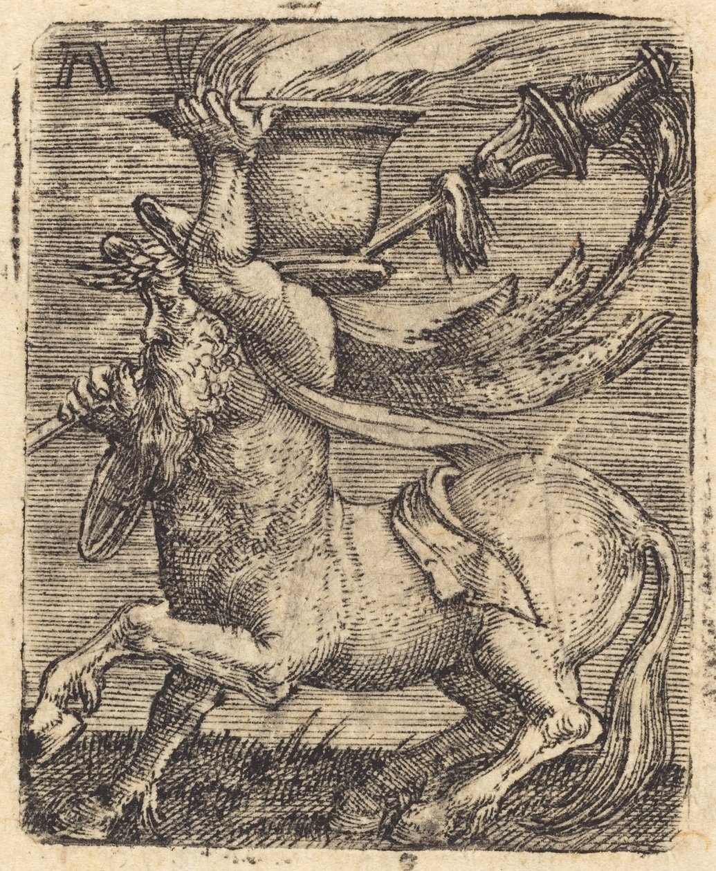 Vazolu Sentor by Albrecht Altdorfer