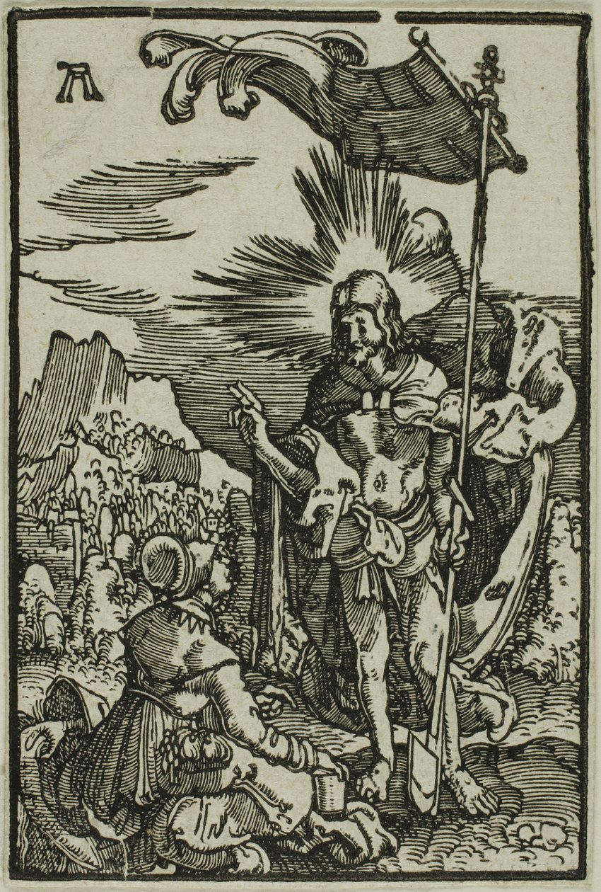  by Albrecht Altdorfer