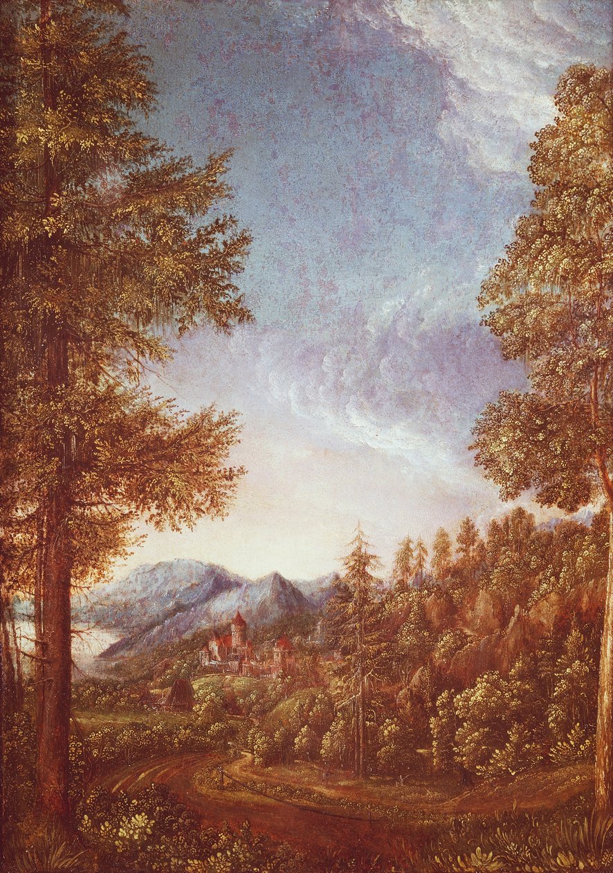 Castle Worth ile Tuna manzarası, c.1522-25 (kayın üzerine parşömen) by Albrecht Altdorfer