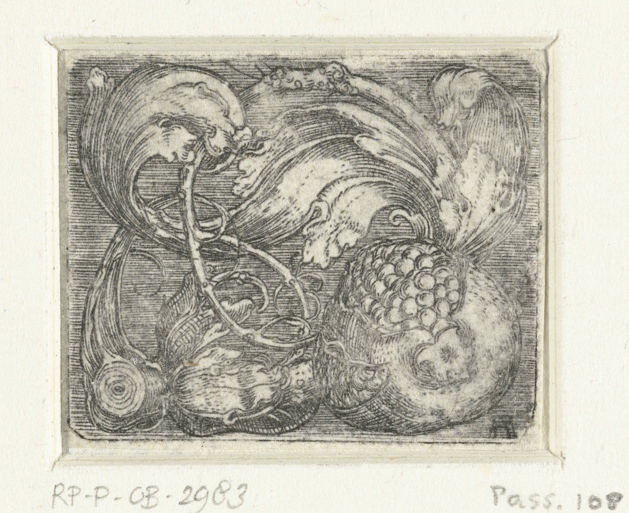 Nar ve yaprak asmaları by Albrecht Altdorfer