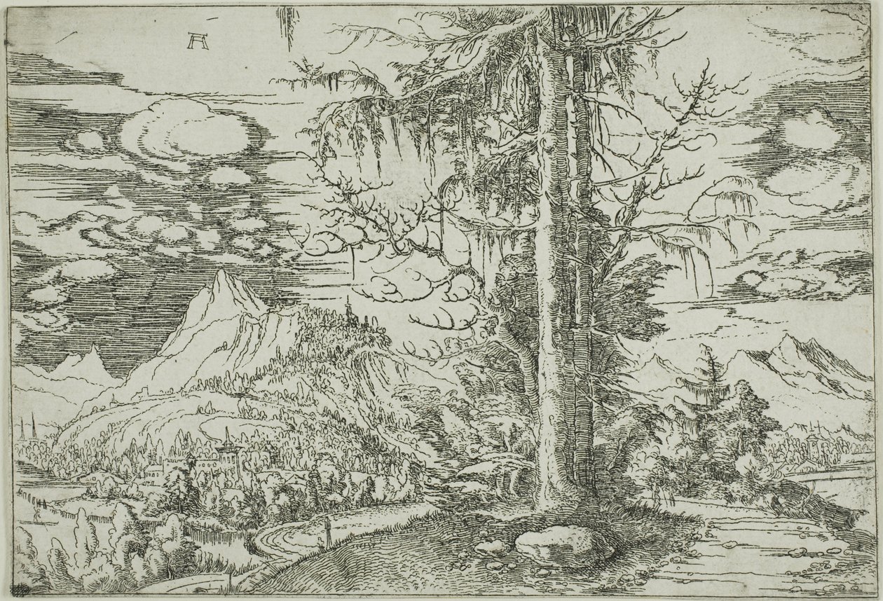 Çift Ladinli Peyzaj by Albrecht Altdorfer