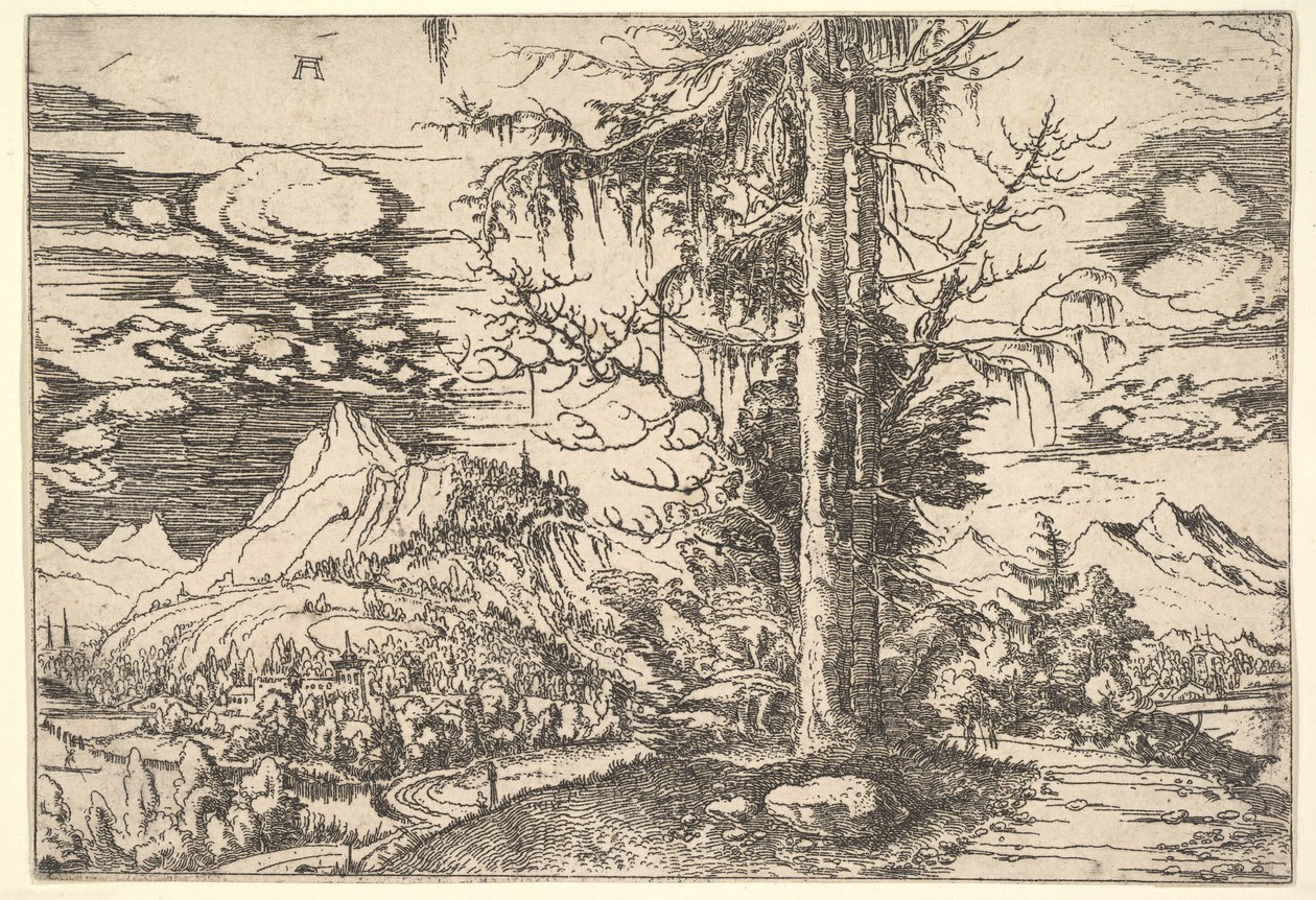Çift Ladin ile Peyzaj, yaklaşık. 1521-22. by Albrecht Altdorfer