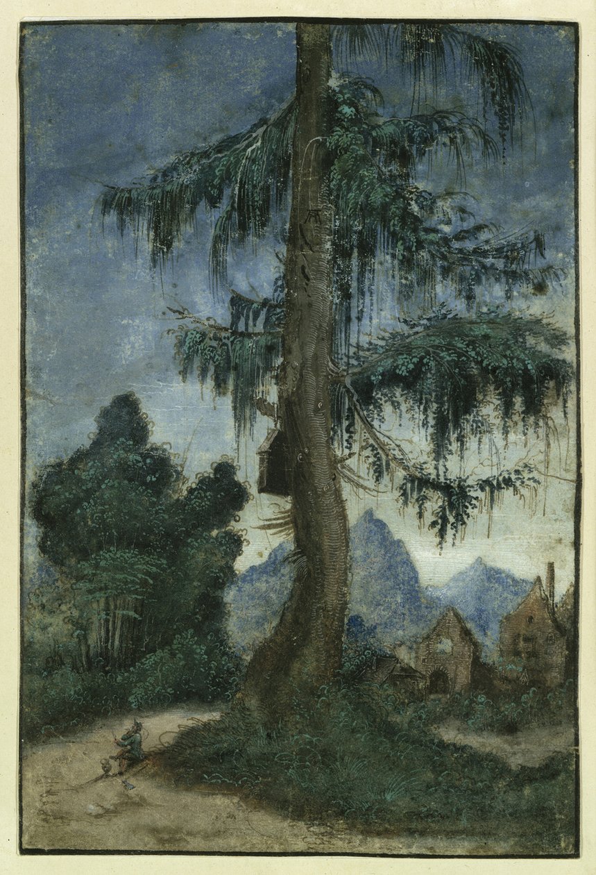 Bir ladin ile manzara, yaklaşık 1522. by Albrecht Altdorfer