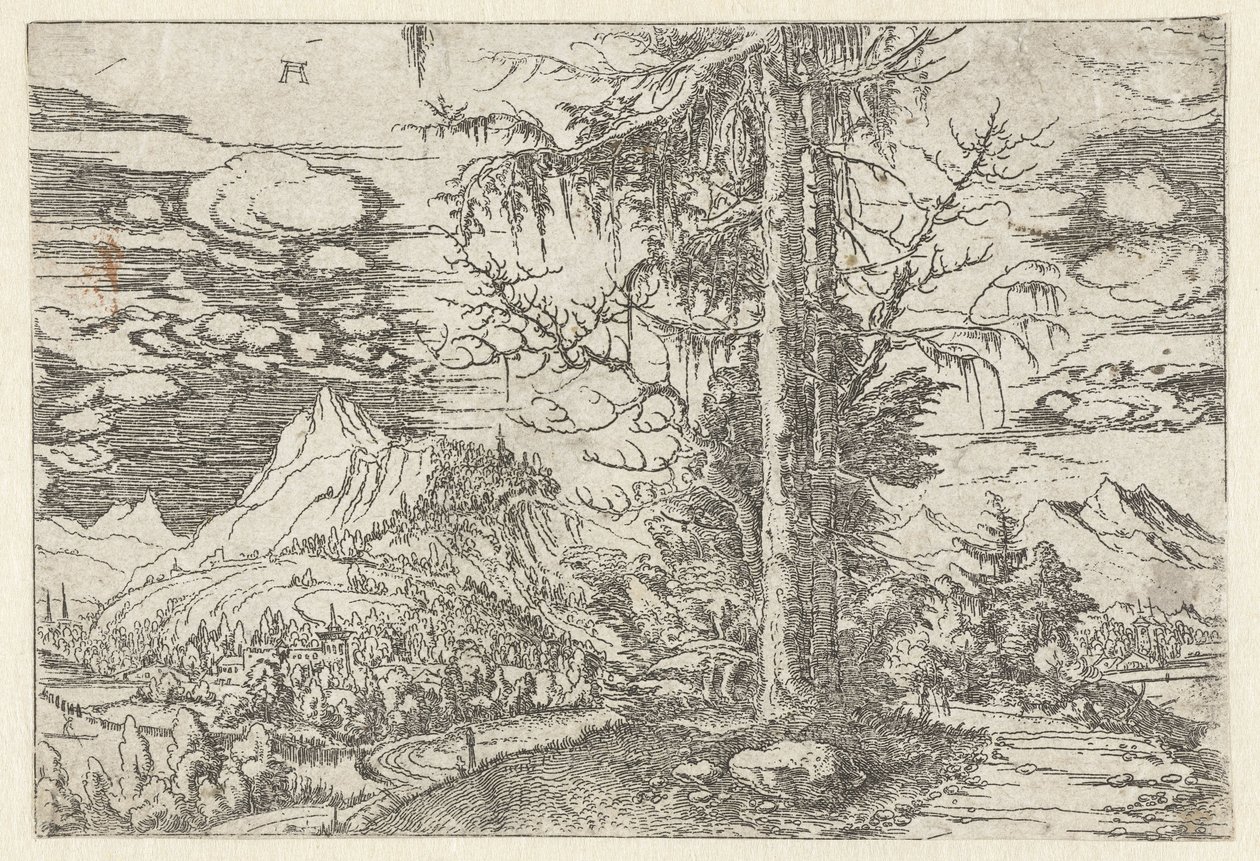 Çift köknar ile manzara by Albrecht Altdorfer