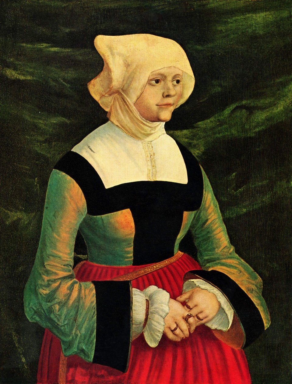  by Albrecht Altdorfer