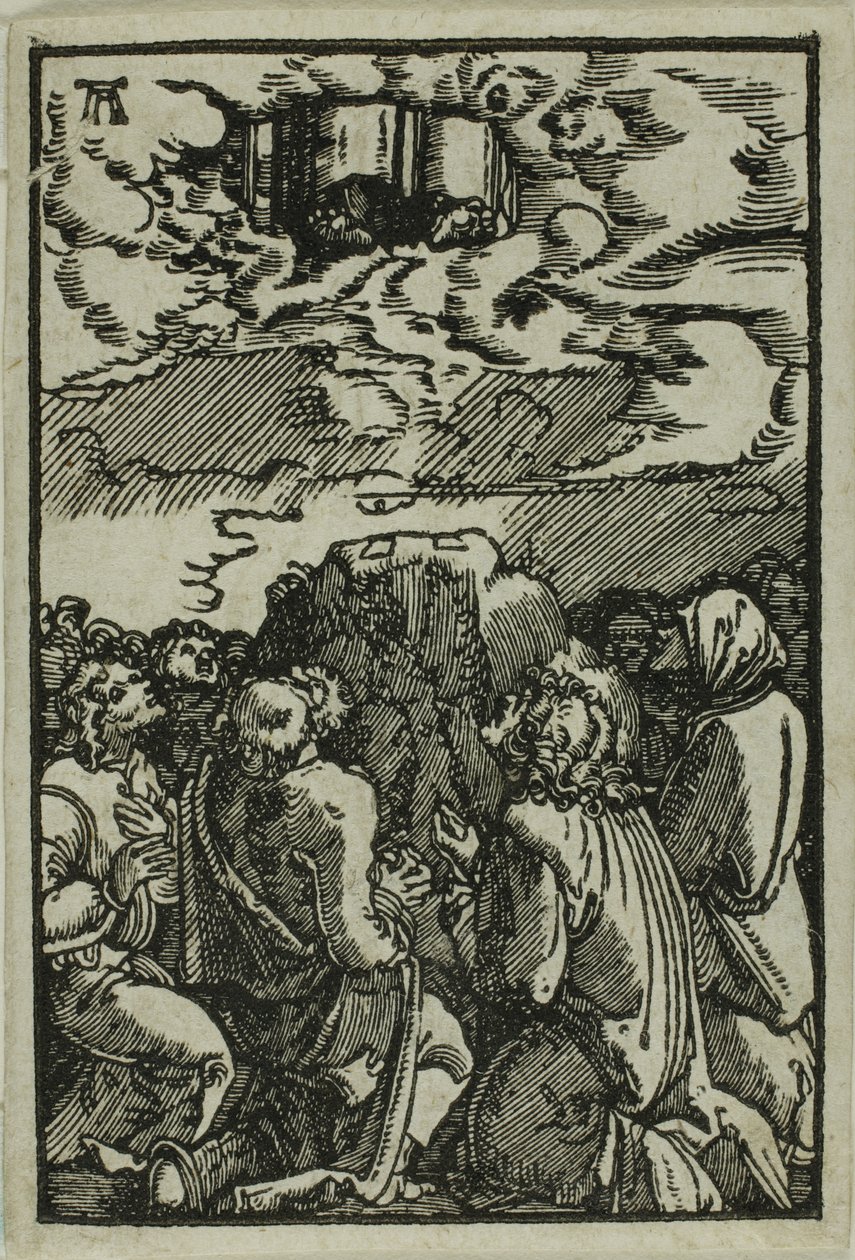 İnsanın Düşüşünden ve Kurtuluşundan Yükseliş by Albrecht Altdorfer