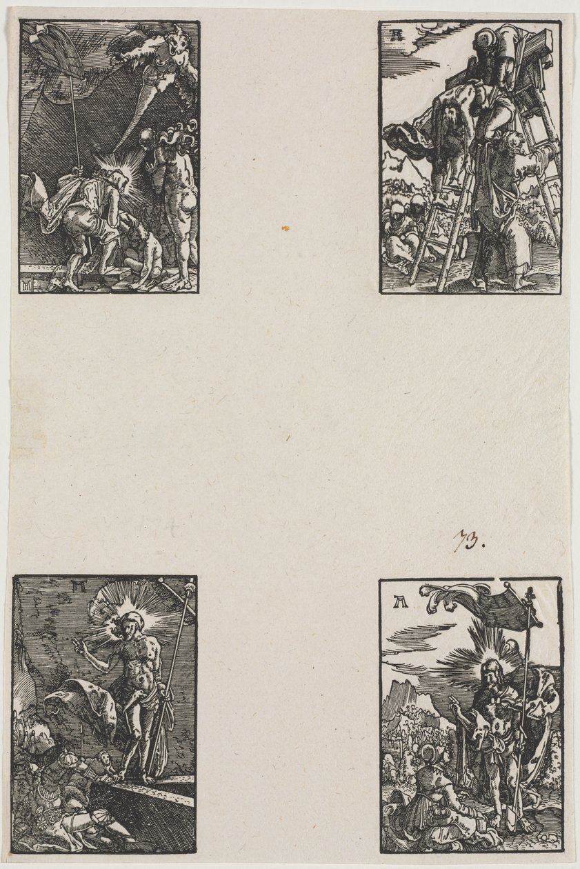 İnsanın Düşüşü ve Kurtuluşu by Albrecht Altdorfer