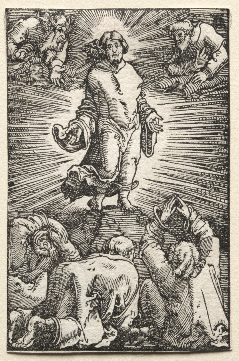 İnsanın Düşüşü ve Kefareti: Başkalaşım by Albrecht Altdorfer