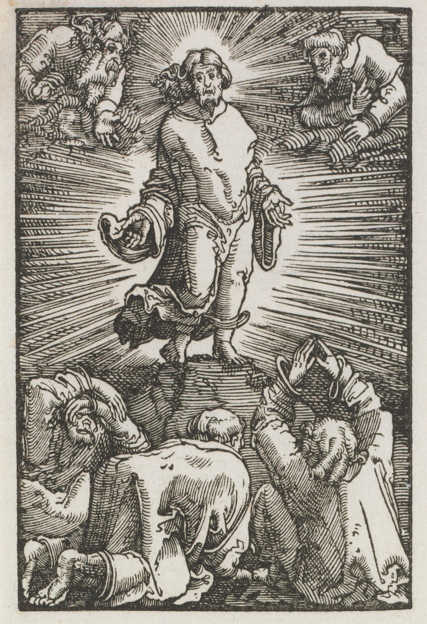 İnsanın Düşüşü ve Kefareti: Başkalaşım by Albrecht Altdorfer