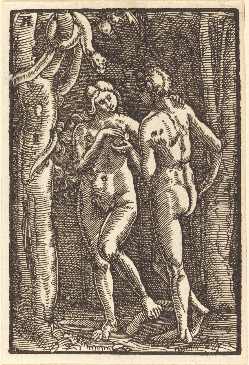 İnsanın Düşüşü by Albrecht Altdorfer