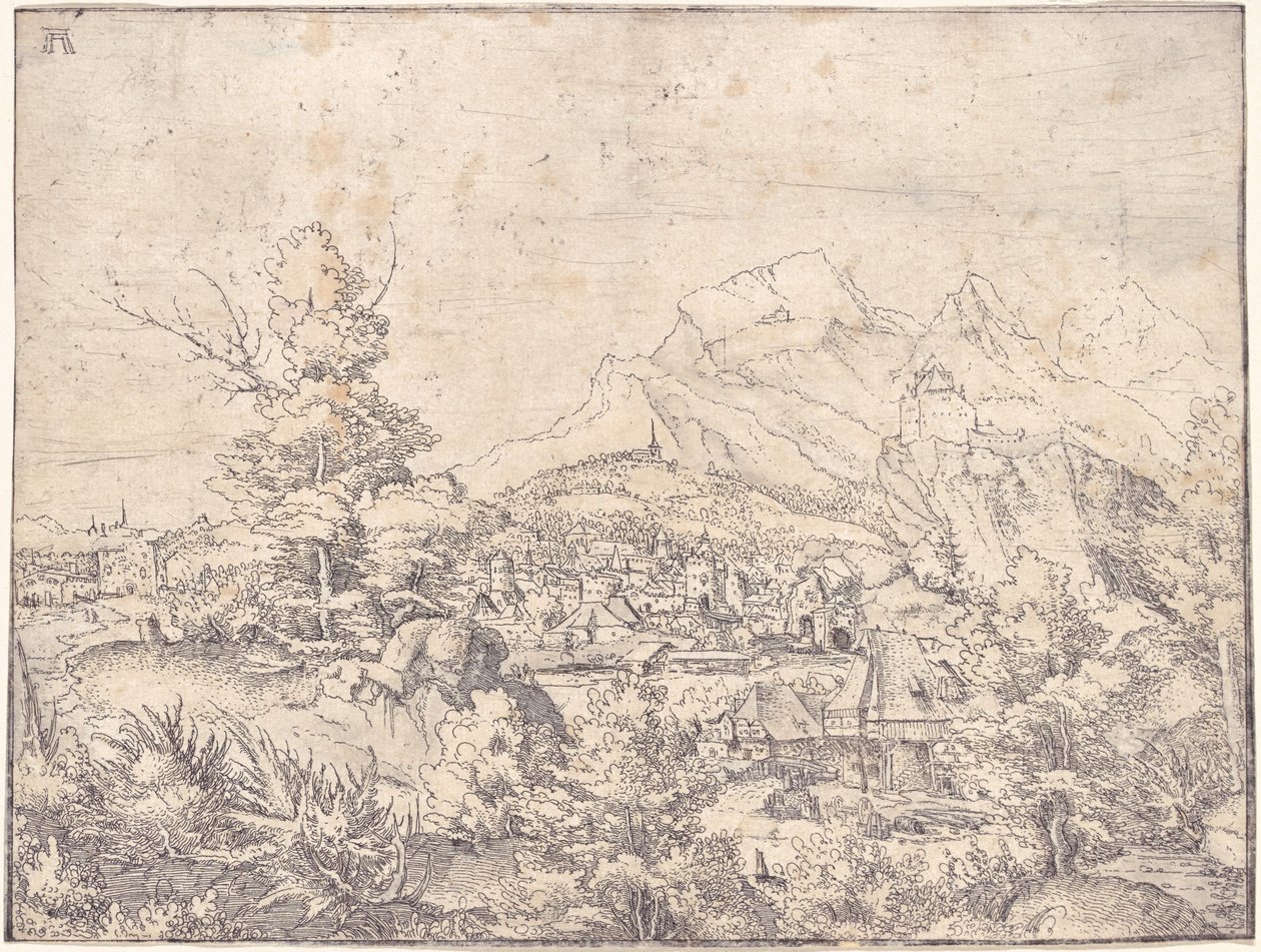 Su Değirmeni ile Büyük Manzara by Albrecht Altdorfer
