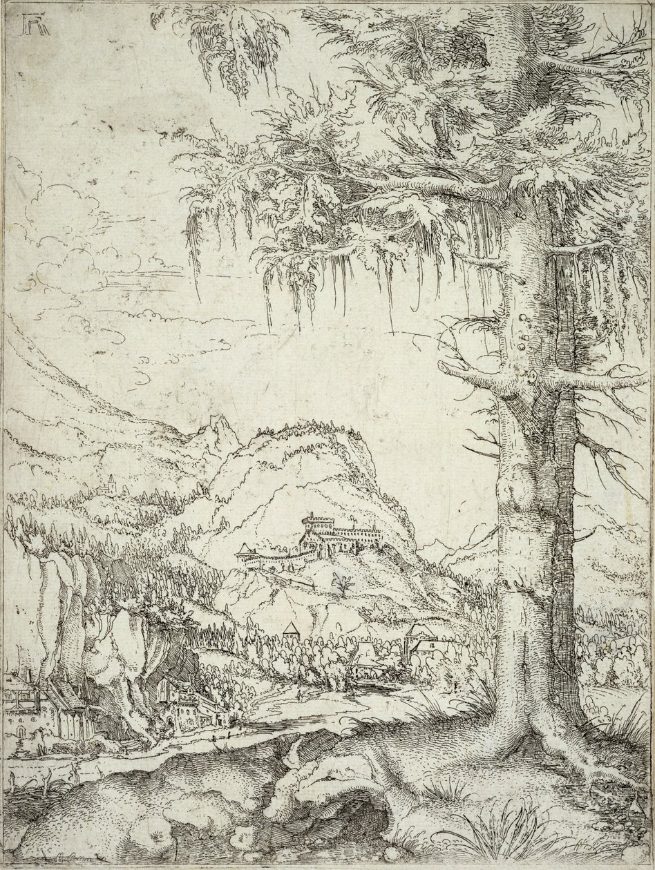 Büyük Ladin, c.1520 by Albrecht Altdorfer