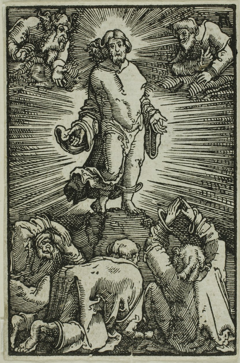 İnsanın Düşüşünden ve Kefaretinden Gelen Başkalaşım by Albrecht Altdorfer