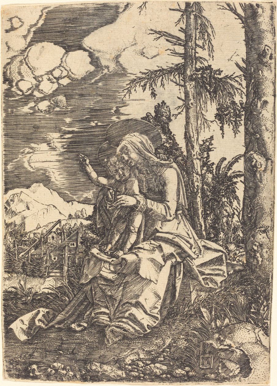 Bakire bir manzara by Albrecht Altdorfer