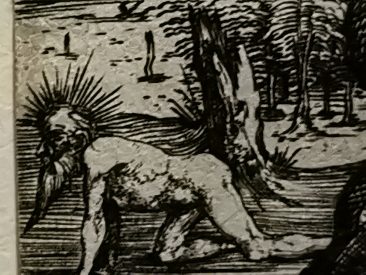  by Albrecht Dürer