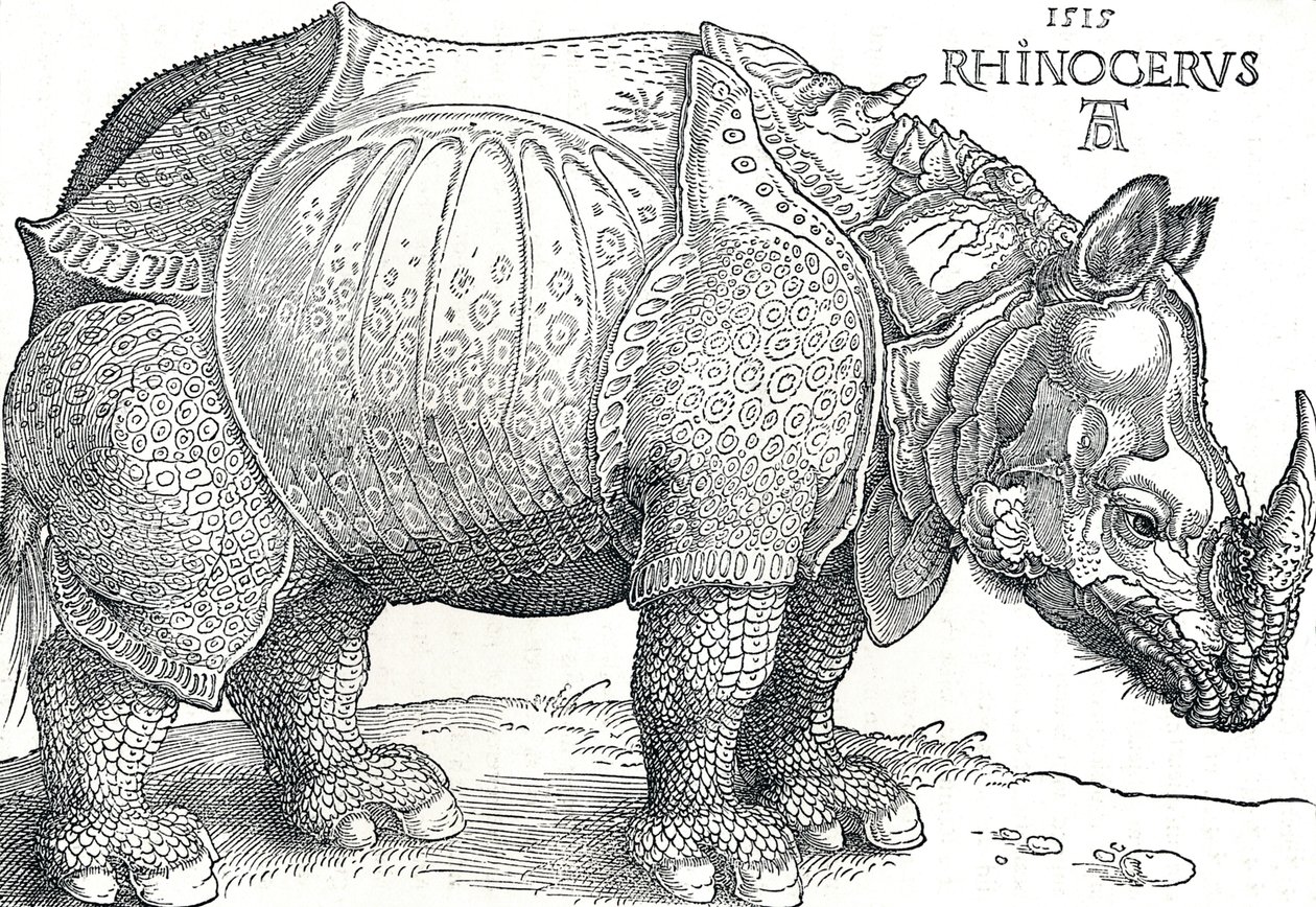Gergedan, 1515, 1906 by Albrecht Dürer