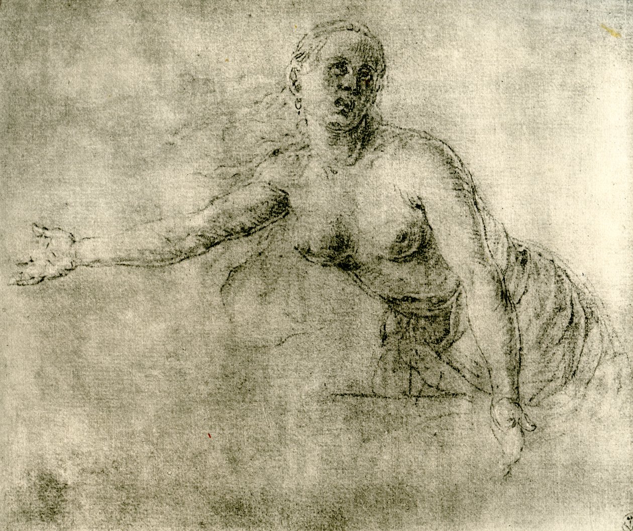 Bir çalışma, 1913 by Albrecht Dürer