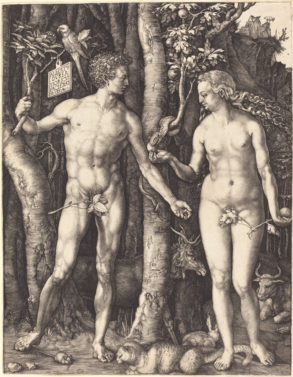 Adem ve Havva by Albrecht Dürer