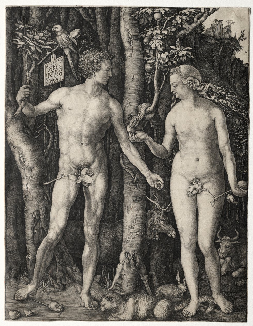 Adem ve Havva by Albrecht Dürer