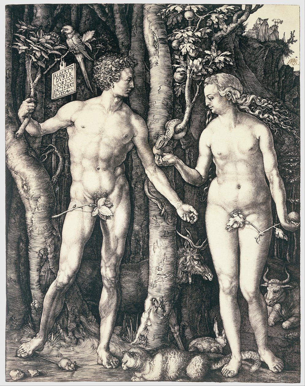  by Albrecht Dürer