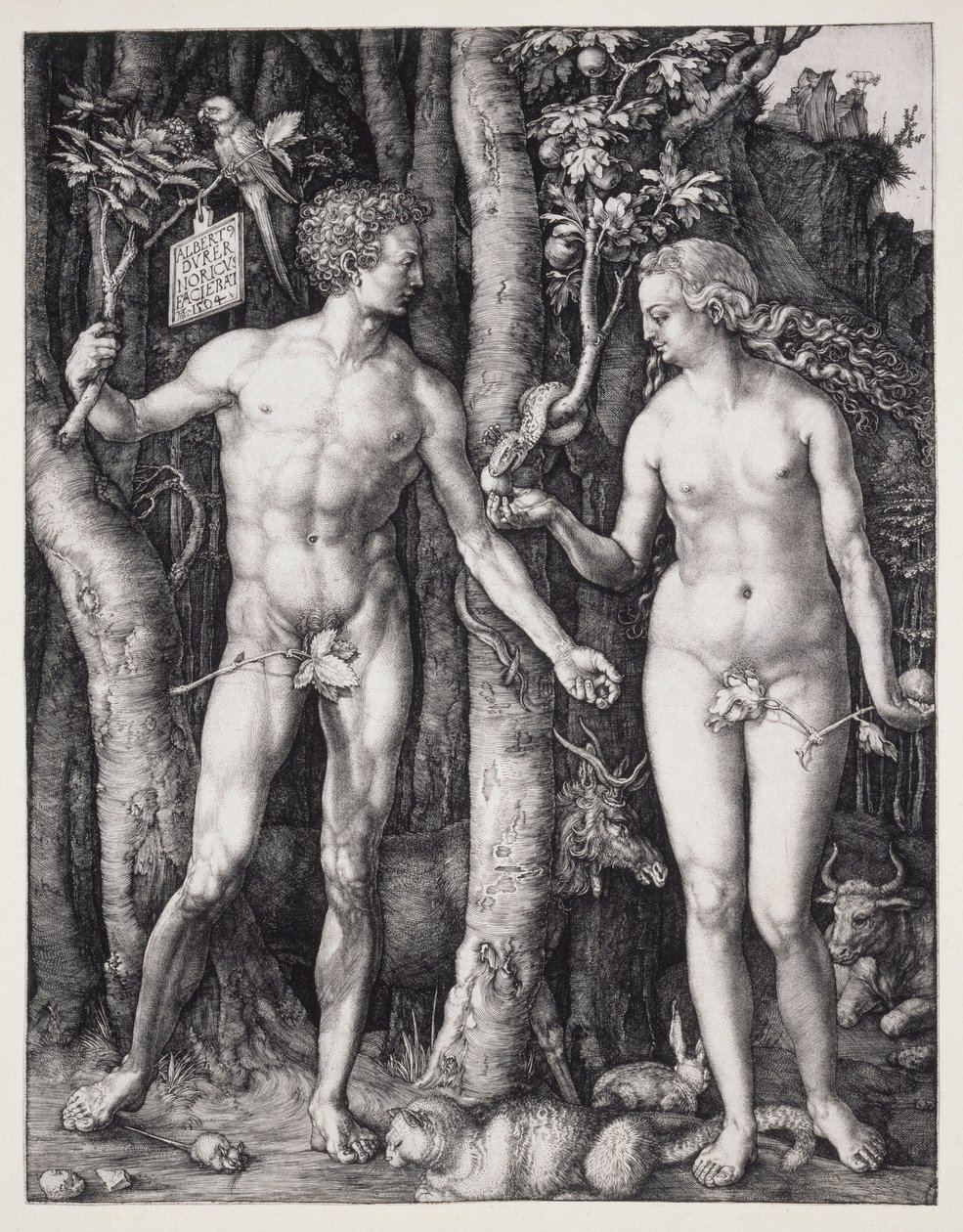  by Albrecht Dürer