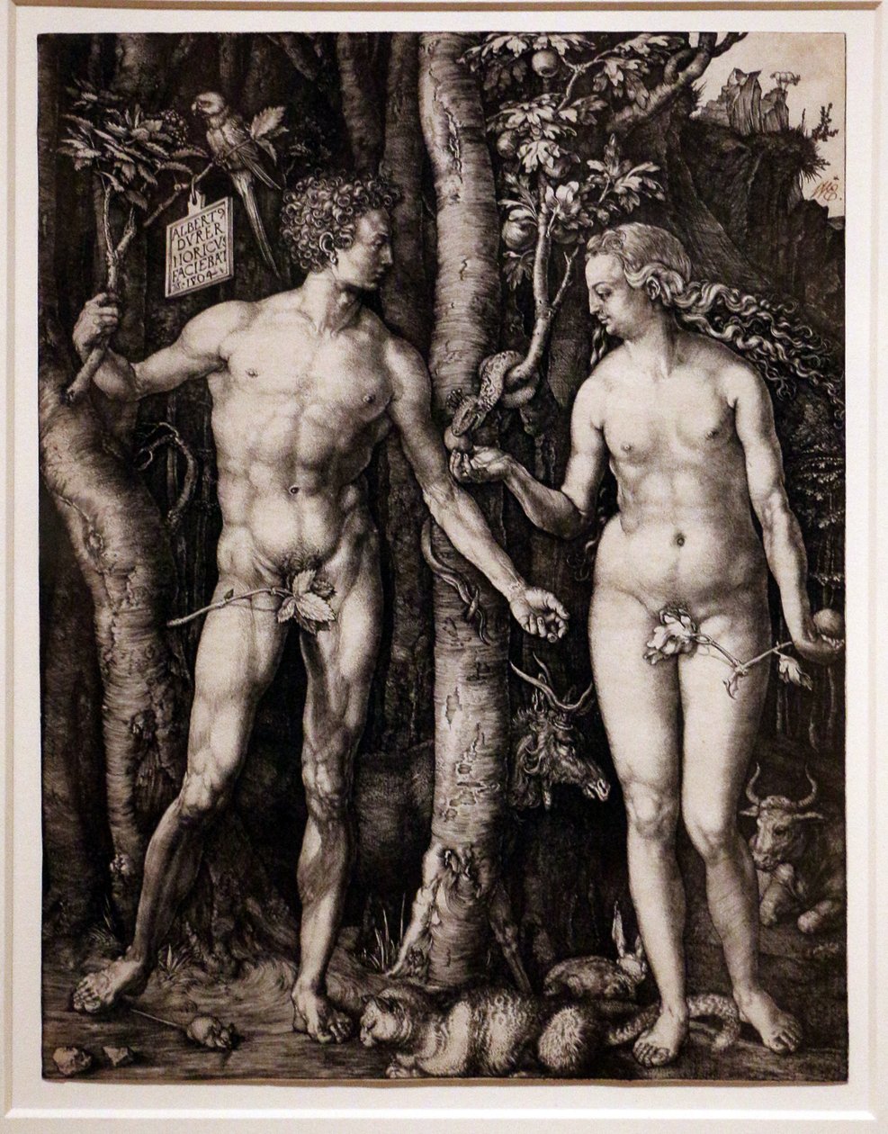  by Albrecht Dürer