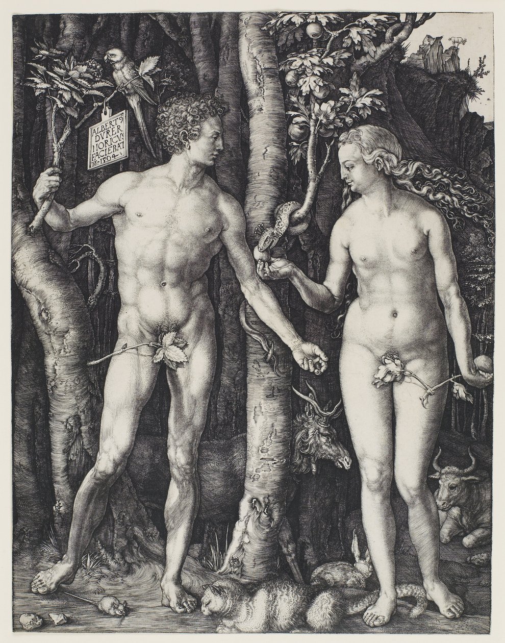  by Albrecht Dürer