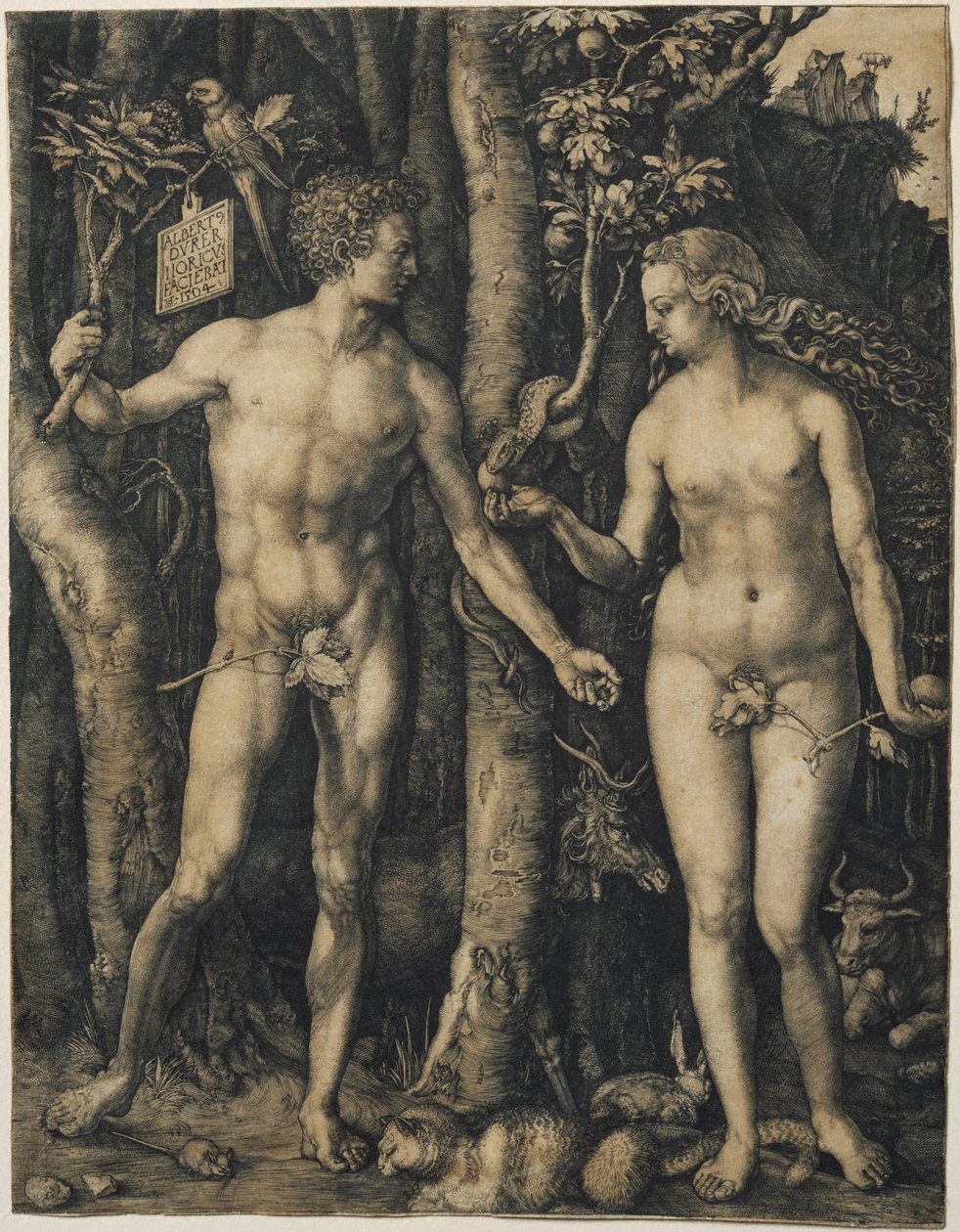  by Albrecht Dürer