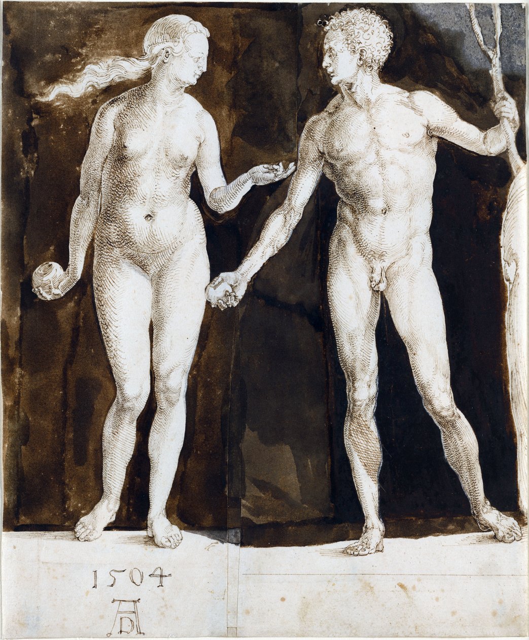 by Albrecht Dürer