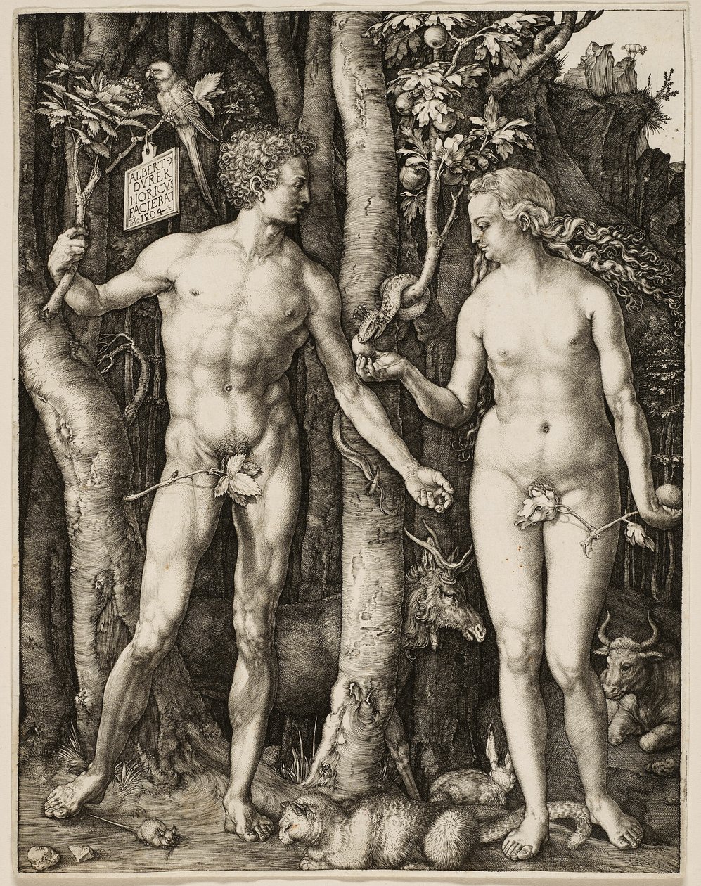  by Albrecht Dürer