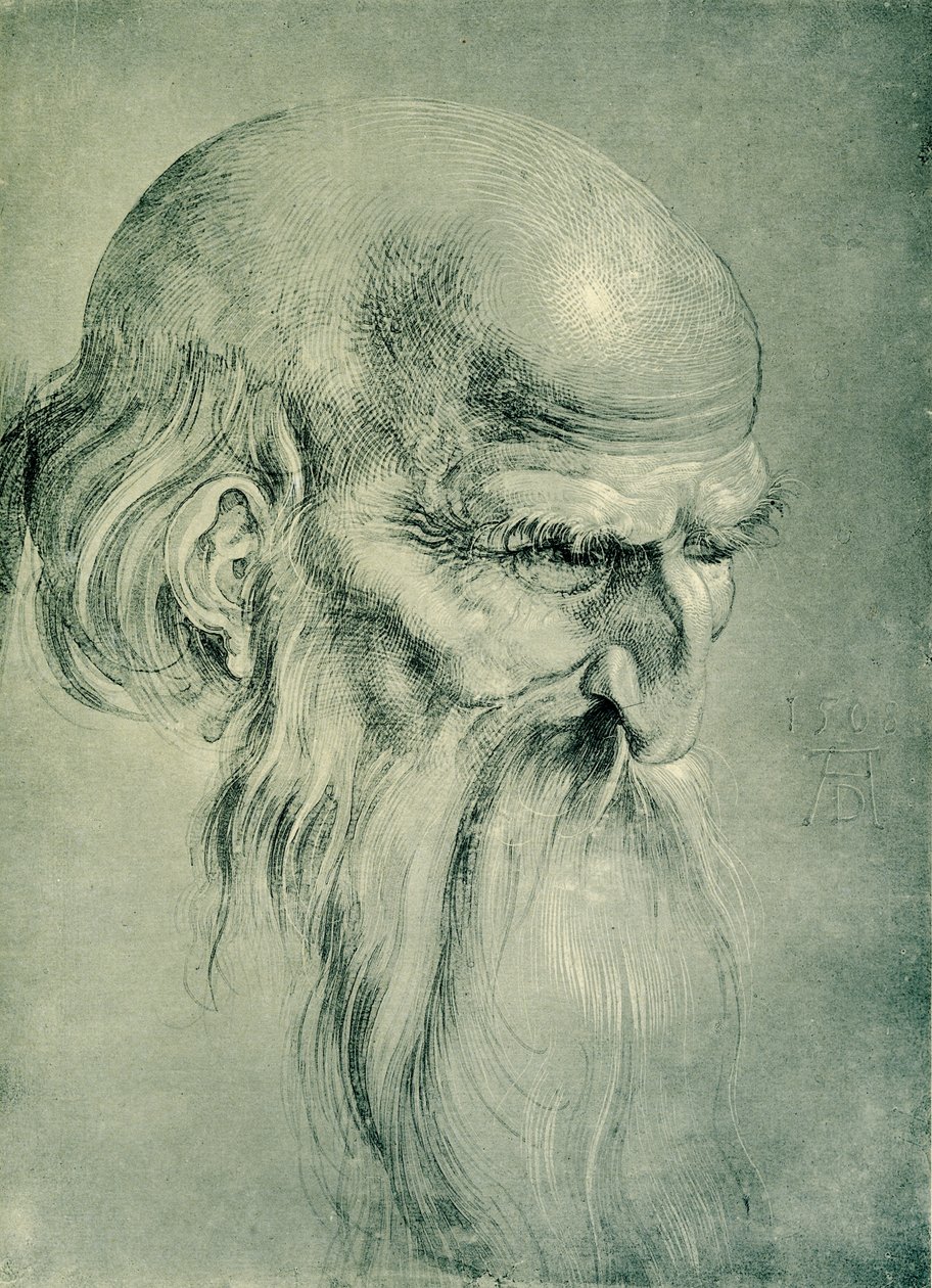 havari kafa by Albrecht Dürer