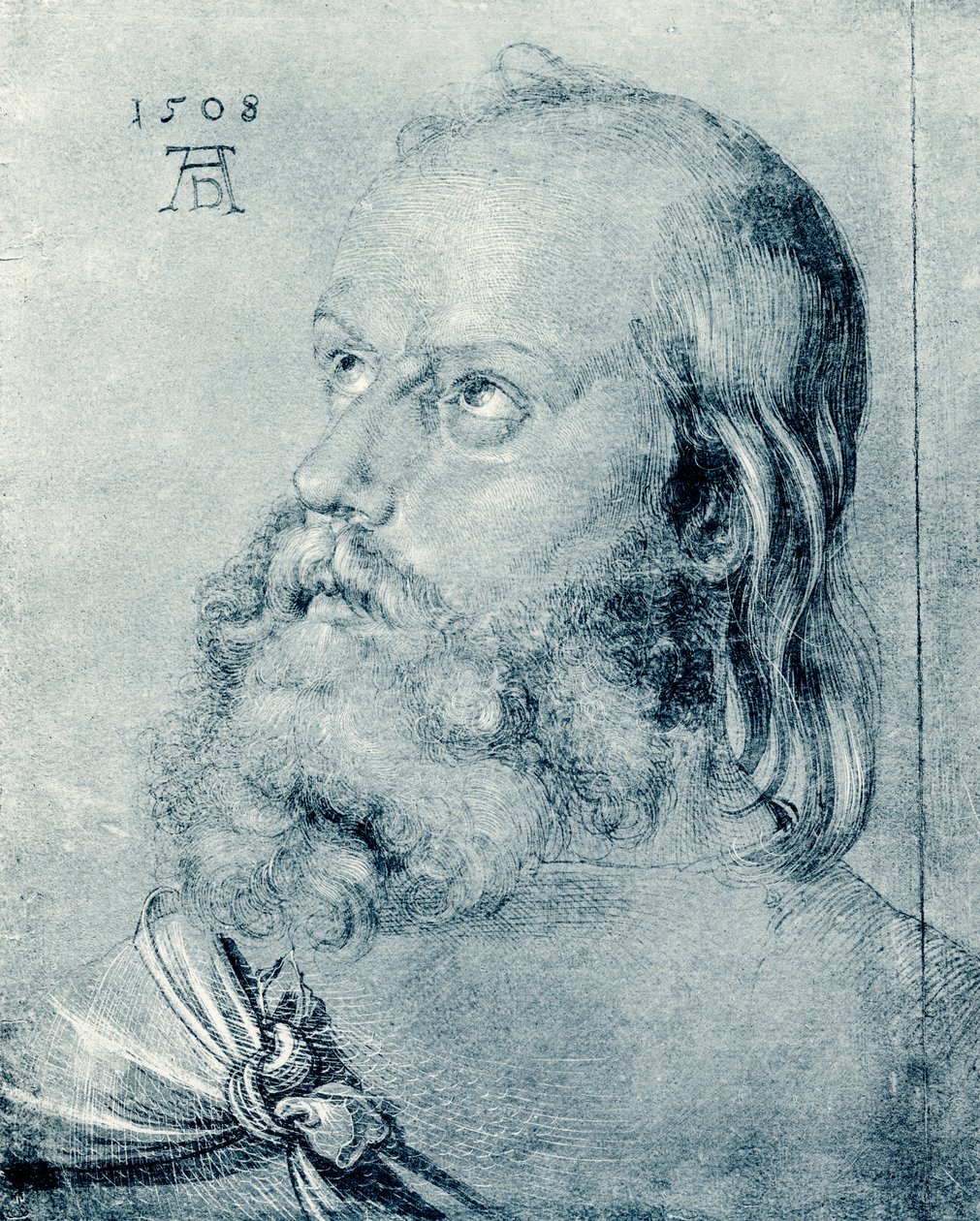 havari kafa by Albrecht Dürer