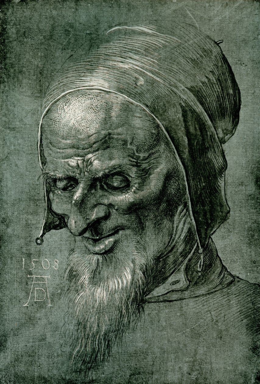 1508 havari başkanı by Albrecht Dürer