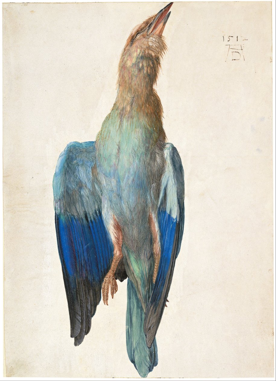  by Albrecht Dürer
