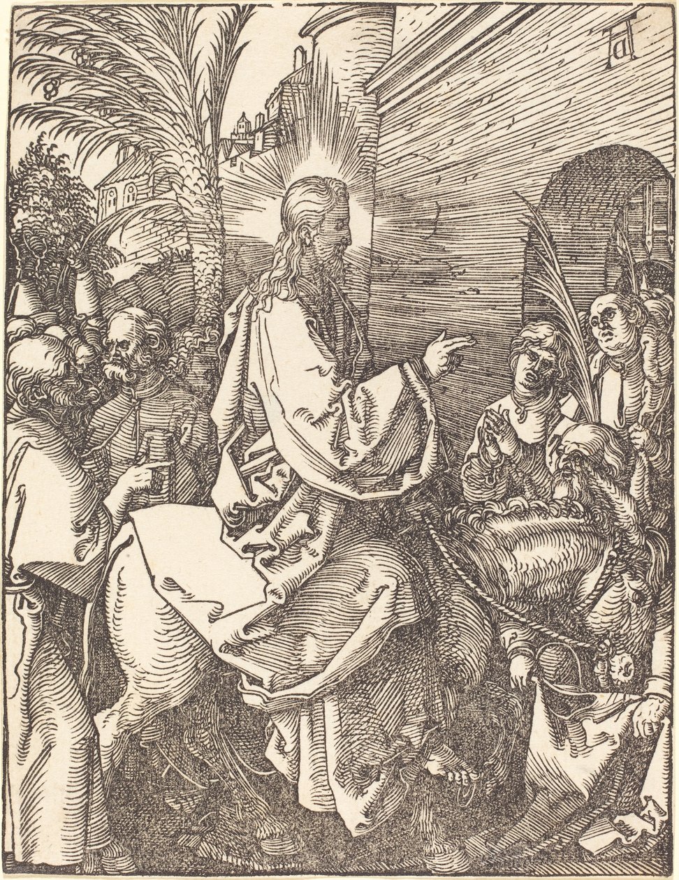  by Albrecht Dürer
