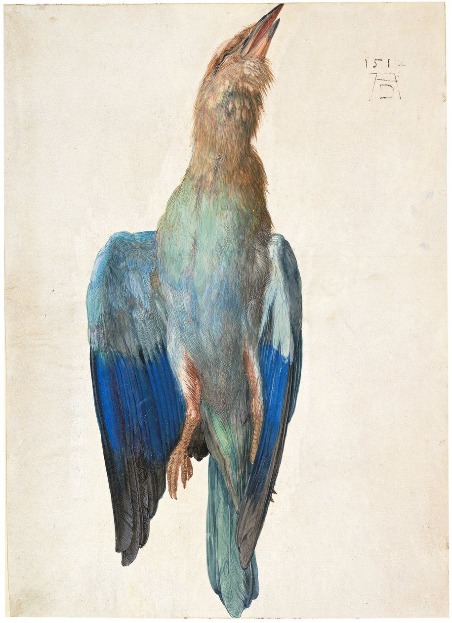 Ölü Mavi Silindir, 1500 veya 1512 by Albrecht Dürer