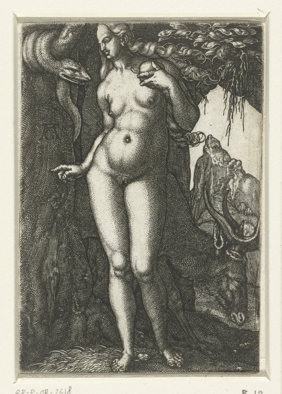  by Albrecht Dürer